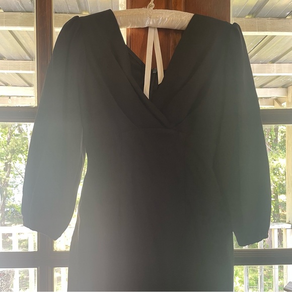 Bawdy Vixen by Micheline Pitt Dress - Picture 3 of 4